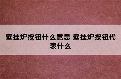 壁挂炉按钮什么意思 壁挂炉按钮代表什么